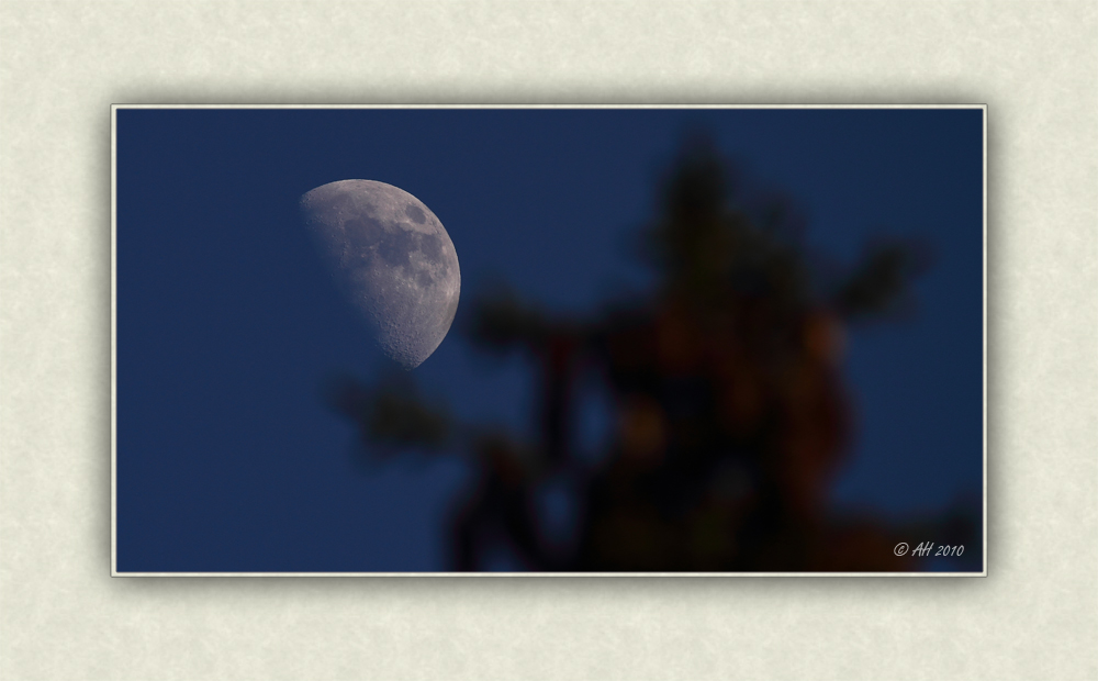 Mond über dem Rennsteig