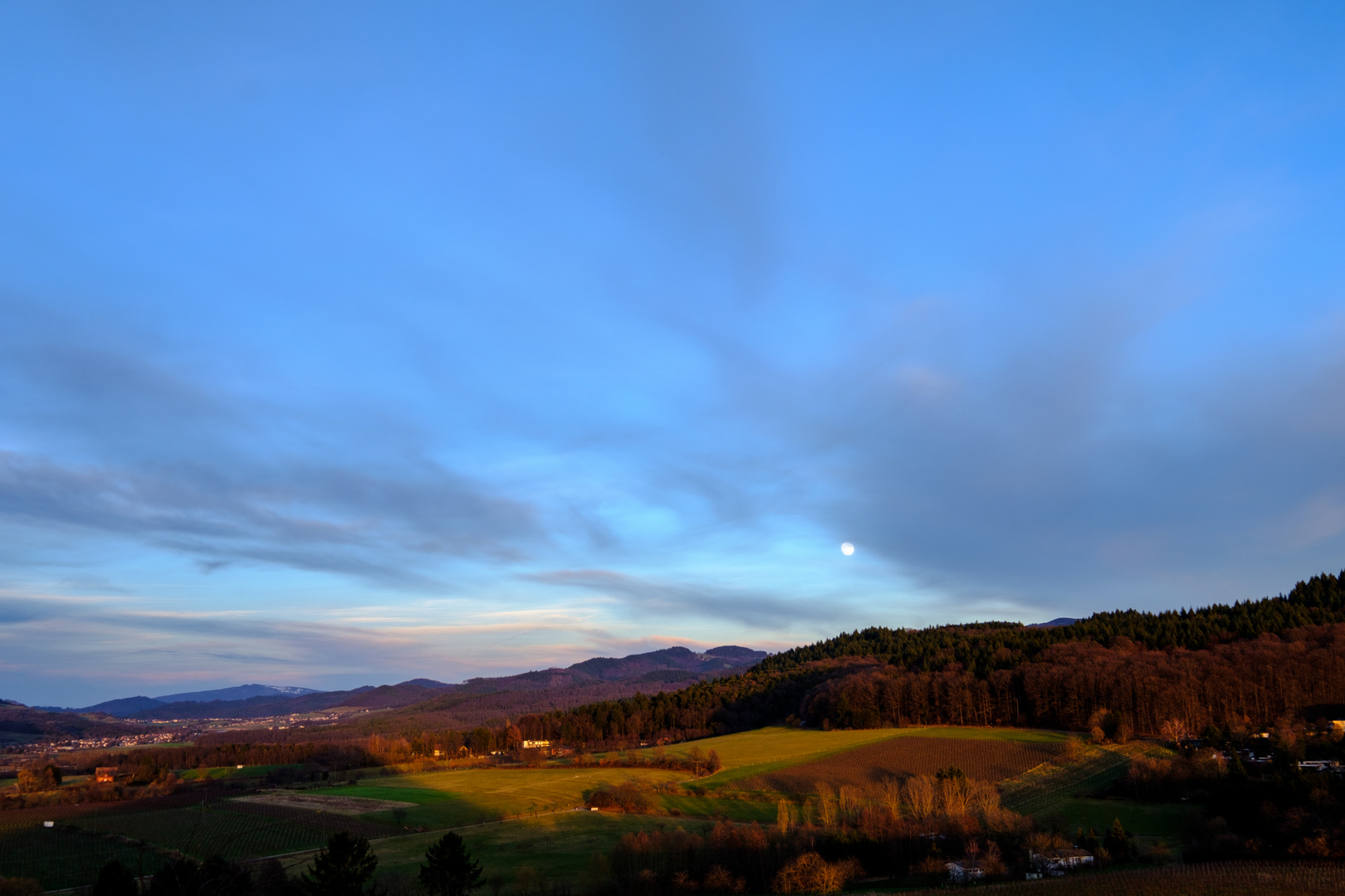 Mond über dem Schwarzwald