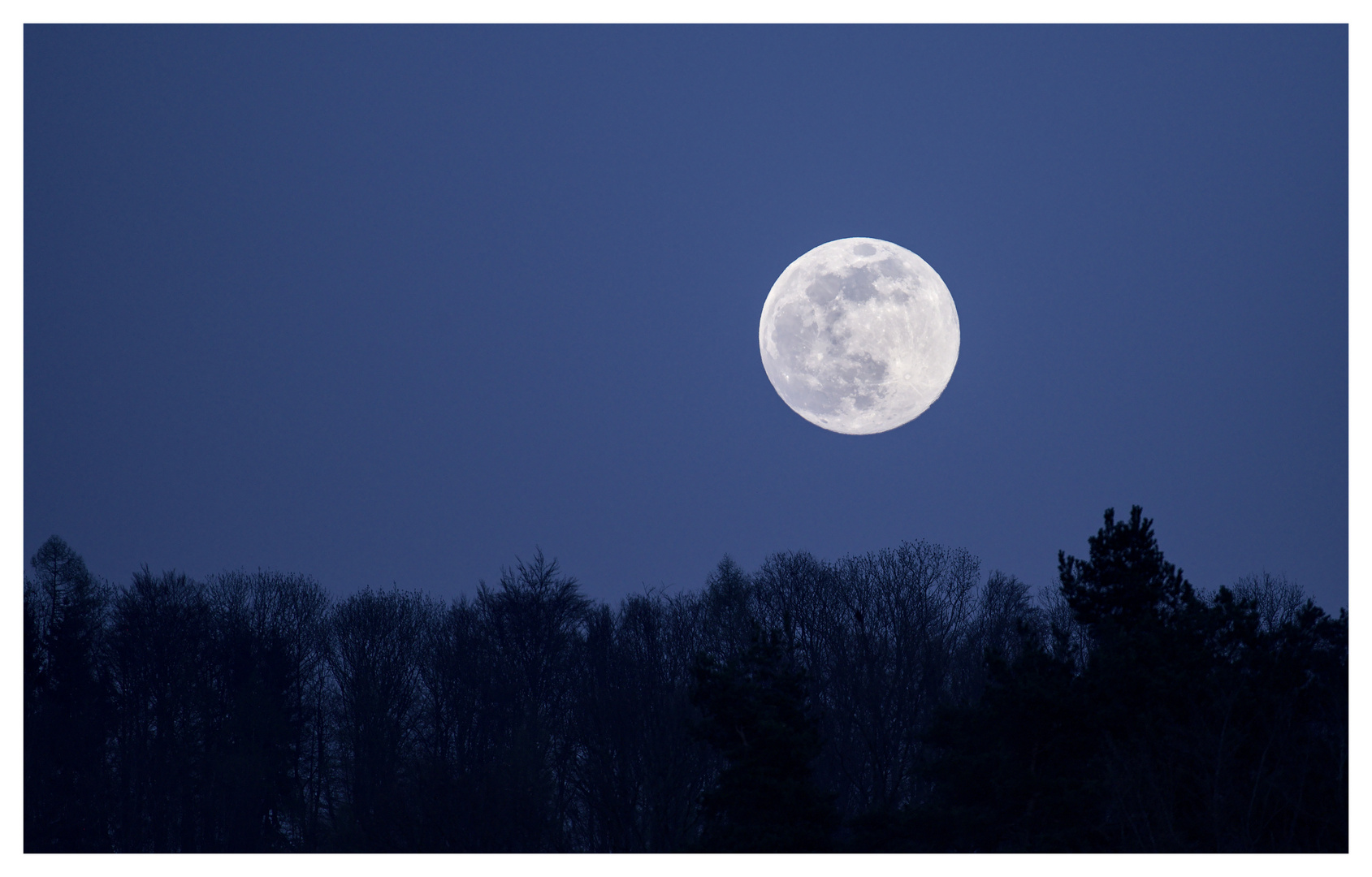 Mond über dem Wald