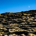 Mond über den Vogesen