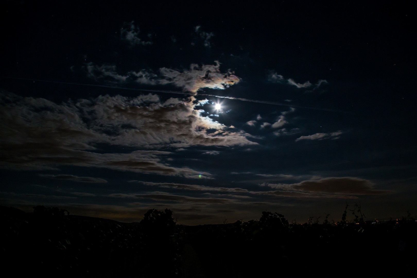 Mond über den Weinbergen