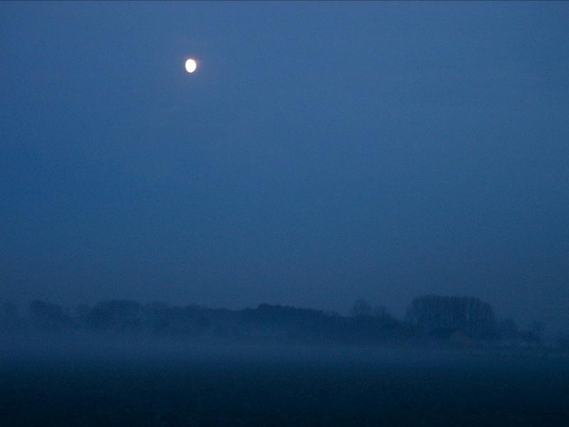 Mond über den Wiesen