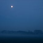 Mond über den Wiesen