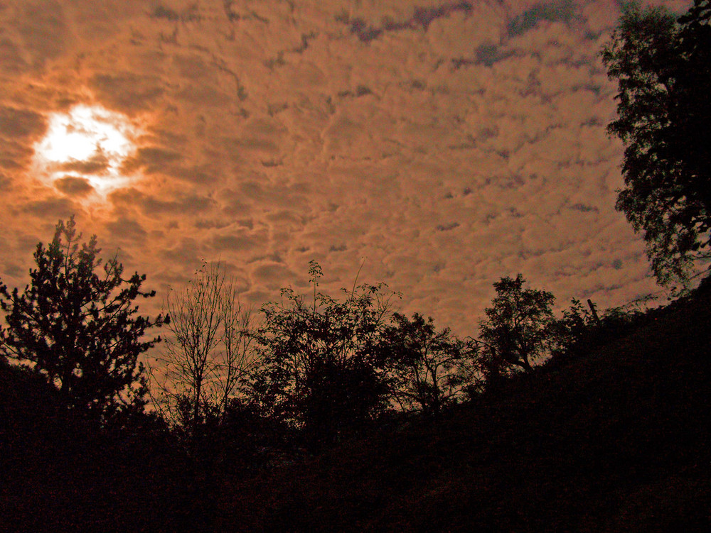 Mond über der Hirschbach - Bühlertal