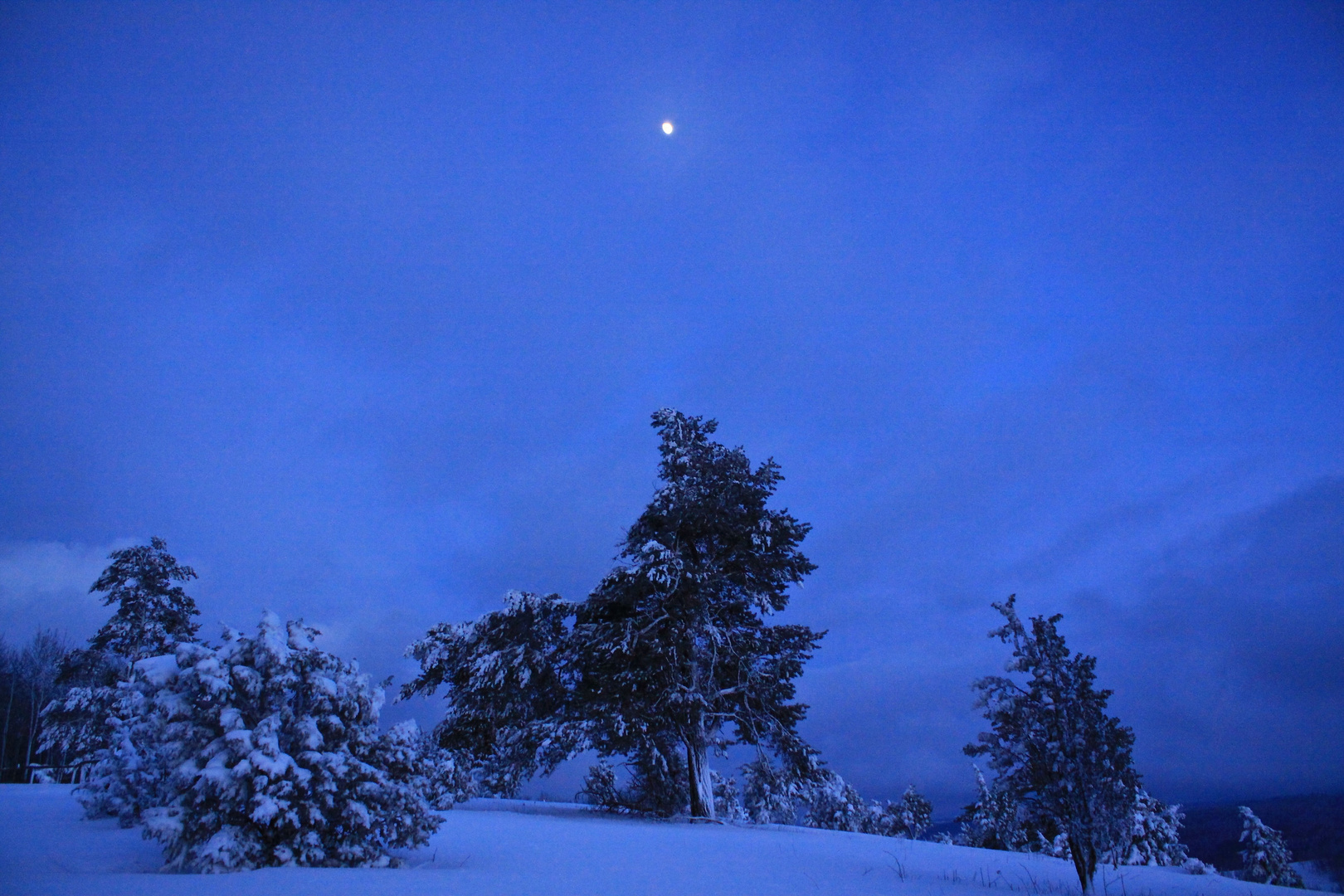 Mond über der Oberbernhardser Heide