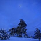 Mond über der Oberbernhardser Heide