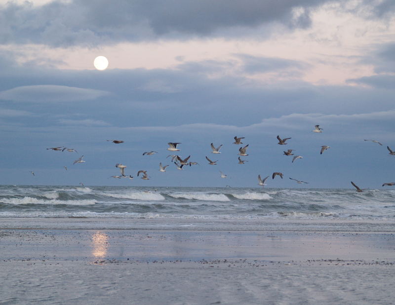 Mond über Grenen