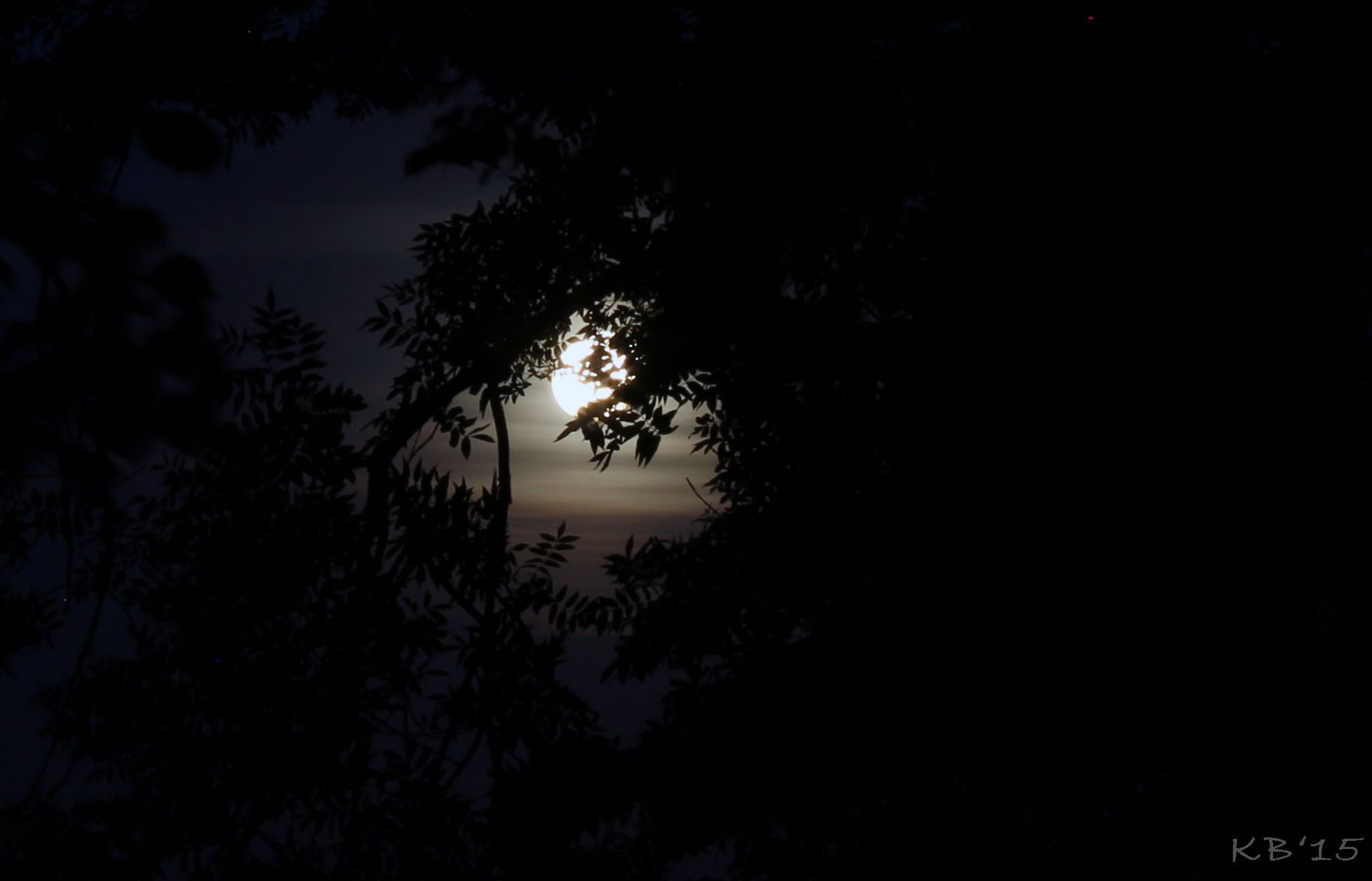 Mond über Hildesheim