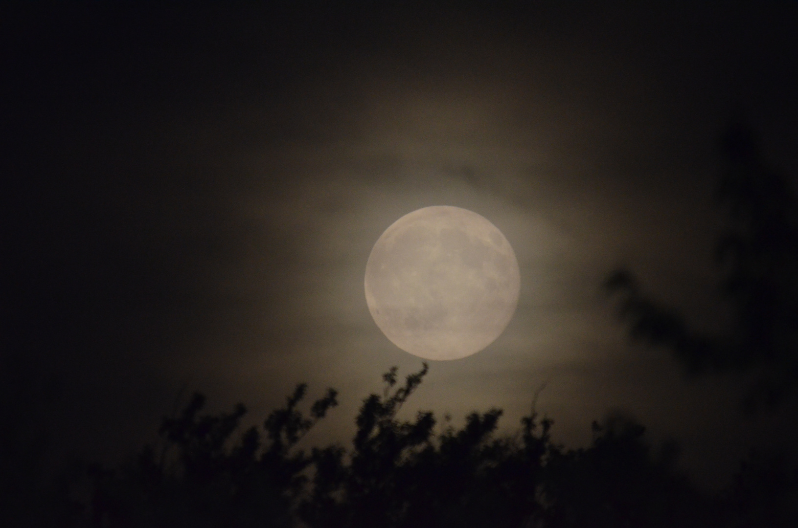 Mond über Homburg