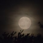 Mond über Homburg