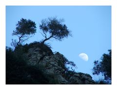 Mond über Mallorca