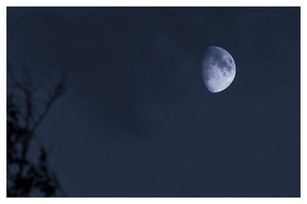 Mond über Nordfriesland