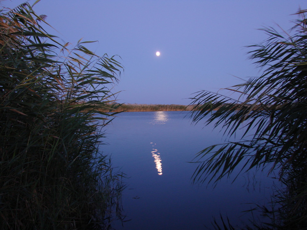 Mond über ruhige See