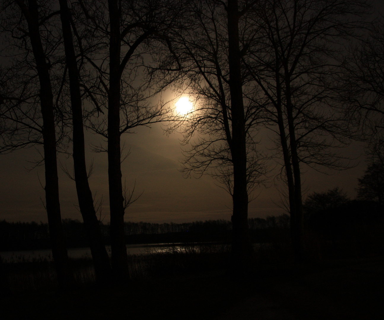 Mond über Ulrichshusen