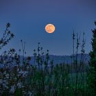 Mond über Velbert-Langenberg