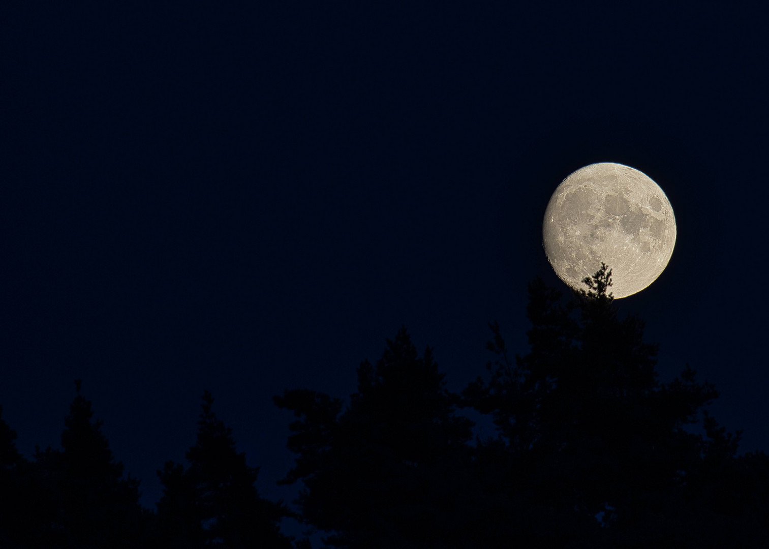 Mond über Wald