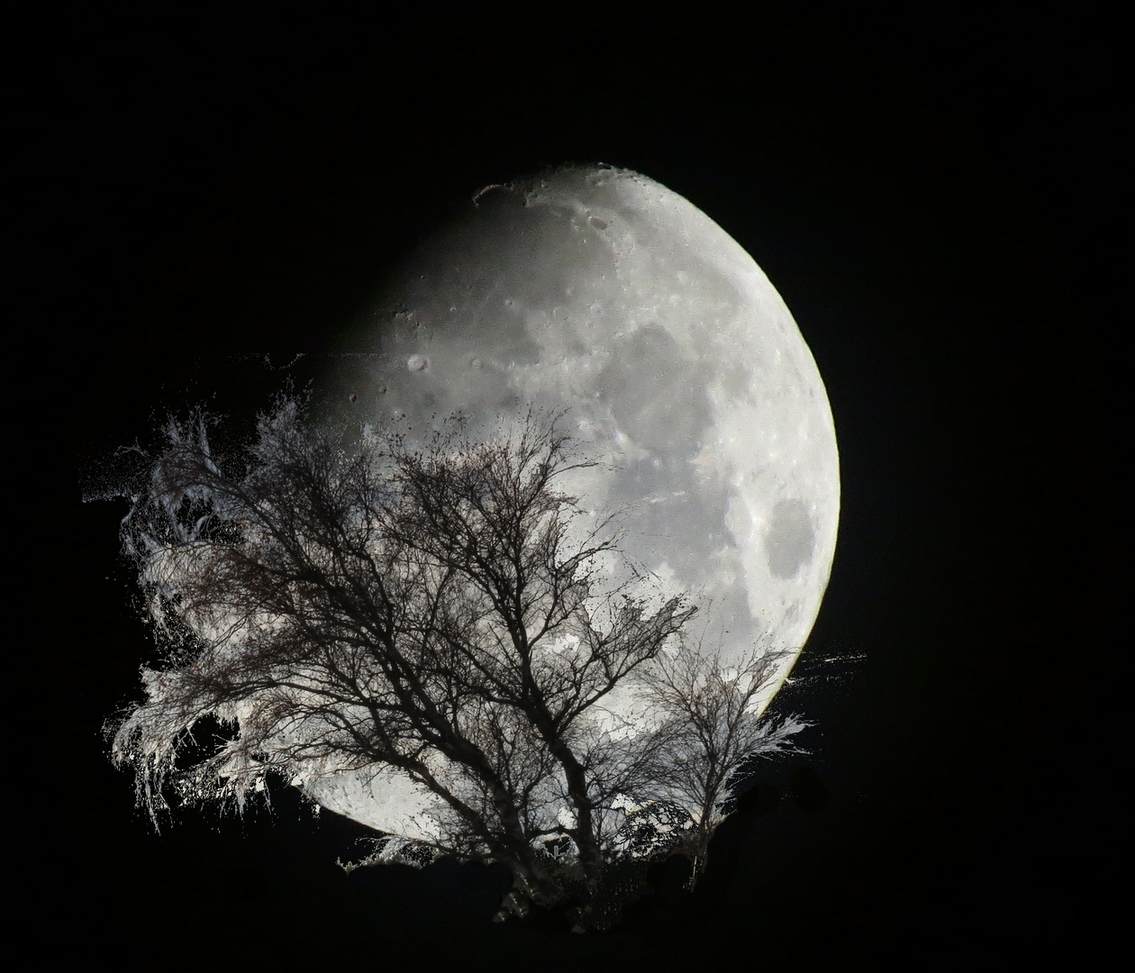 Mond über Zingst