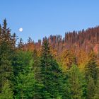 Mond überm Arber