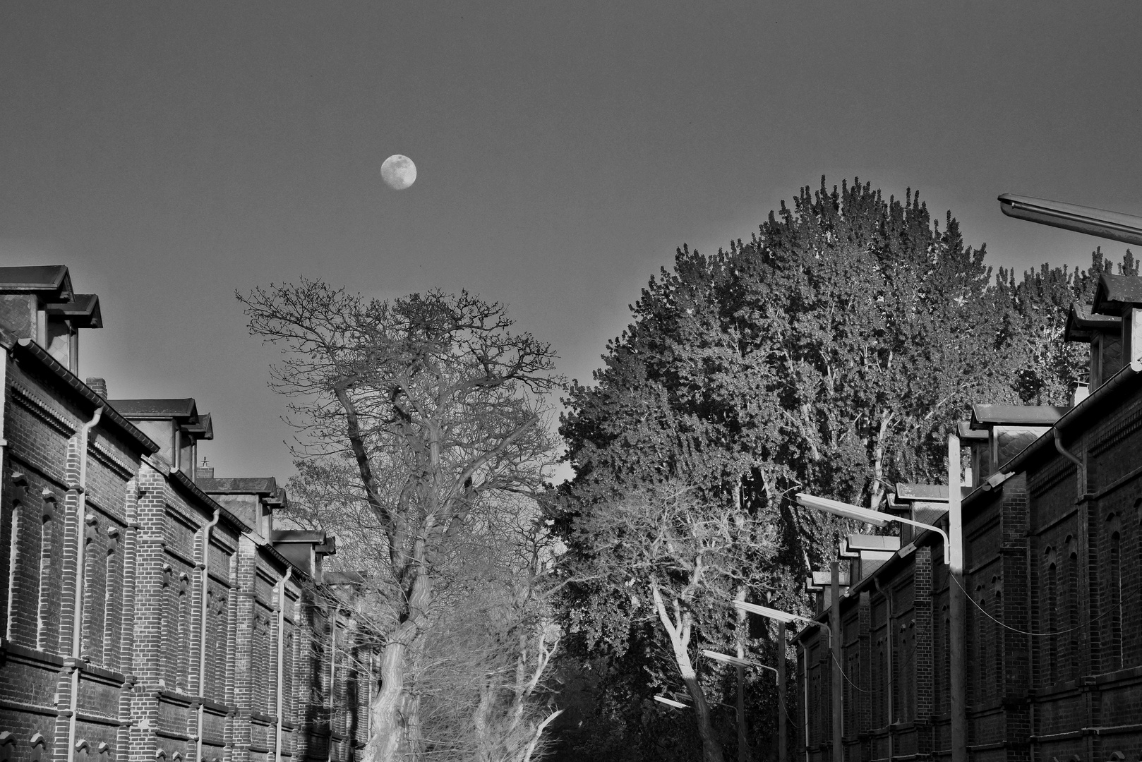 Mond über're Siedlung