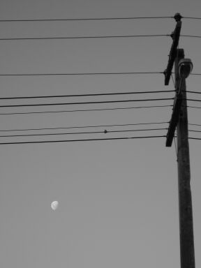 Mond und Strommast unterhalten sich