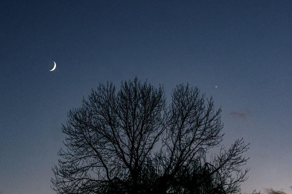 Mond und Venus