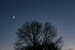 Mond und Venus