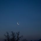 Mond und Venus