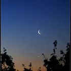 Mond und Venus in der Morgendämmerung (Foto vom 24.05.2006)