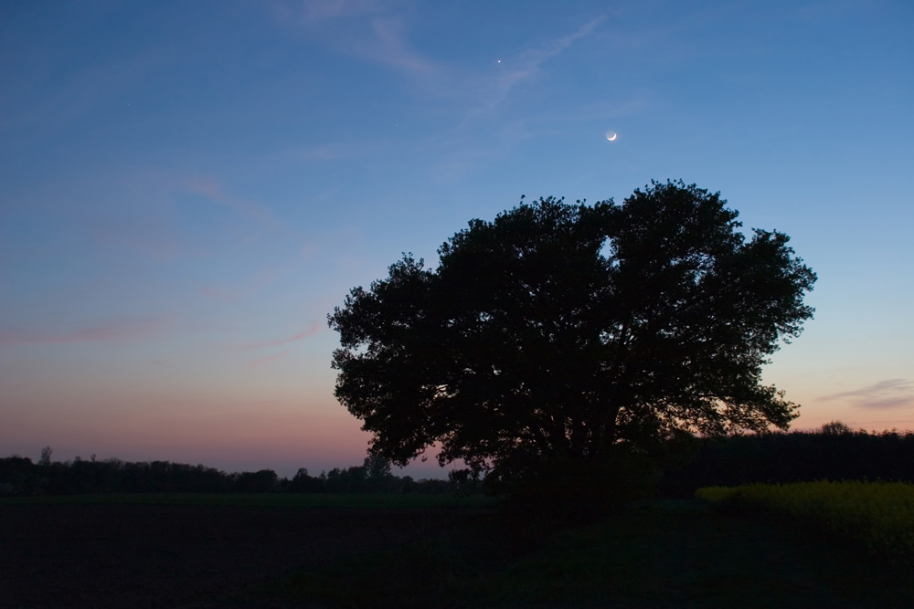 Mond und Venus über Erlensee