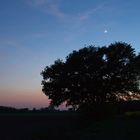 Mond und Venus über Erlensee