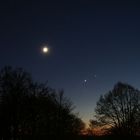 Mond, Venus und Jupiter am 2.12.2008