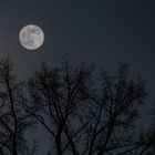 Mond vom Balkon