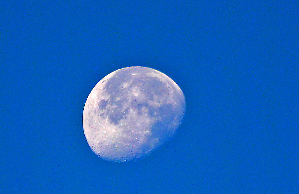 Mond vom Elbufer am Morgen aus