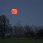 Mond vor der partiellen Finsternis,,,