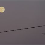 Mond vs Straßenlaterne und Kabel