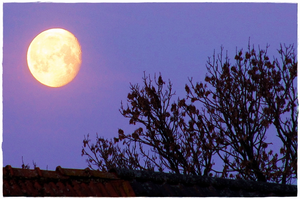 Mond - während die Sonne erwacht