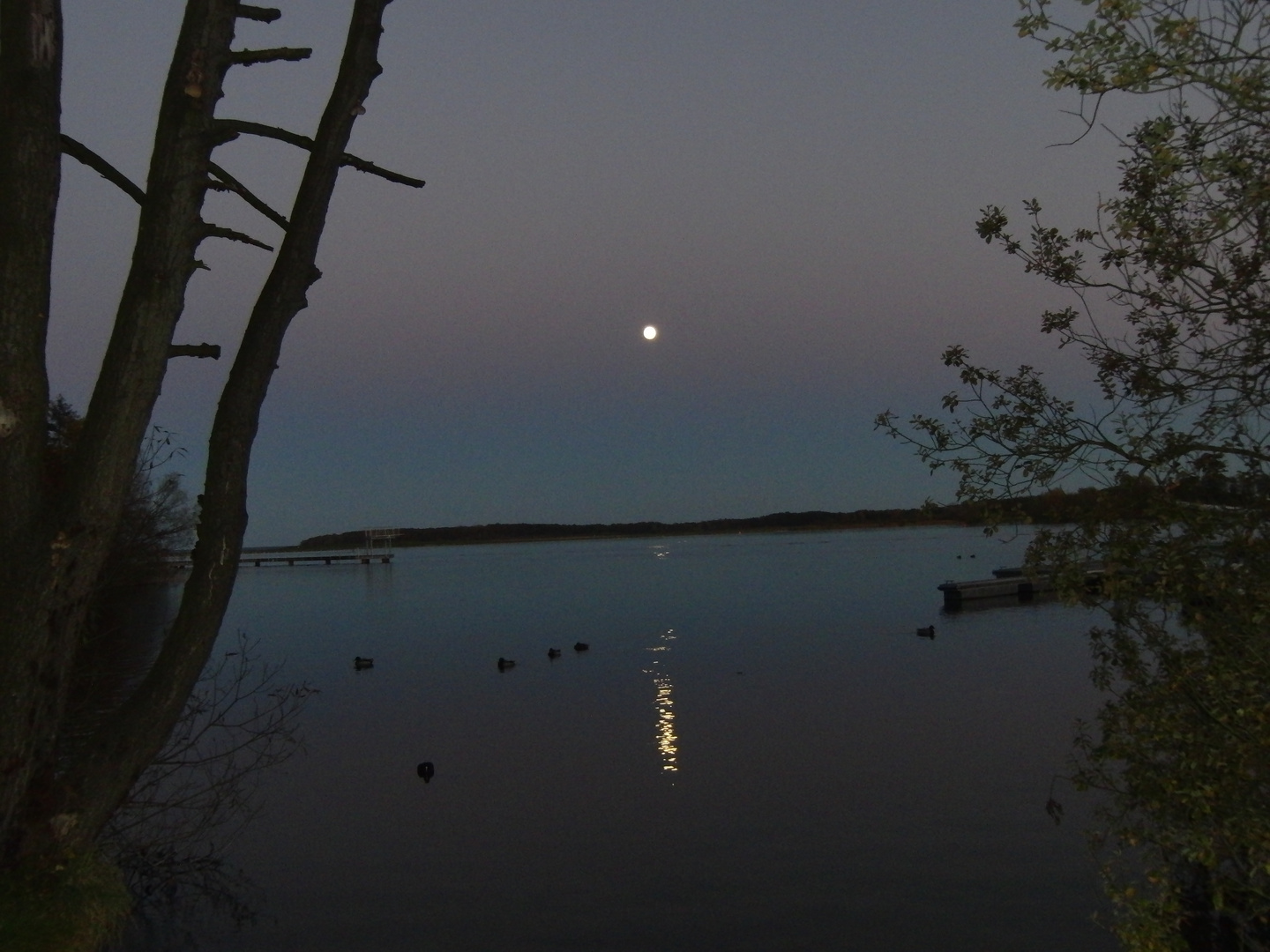 mond wasser