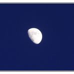 Mond zur blauen Stunde - Moondance