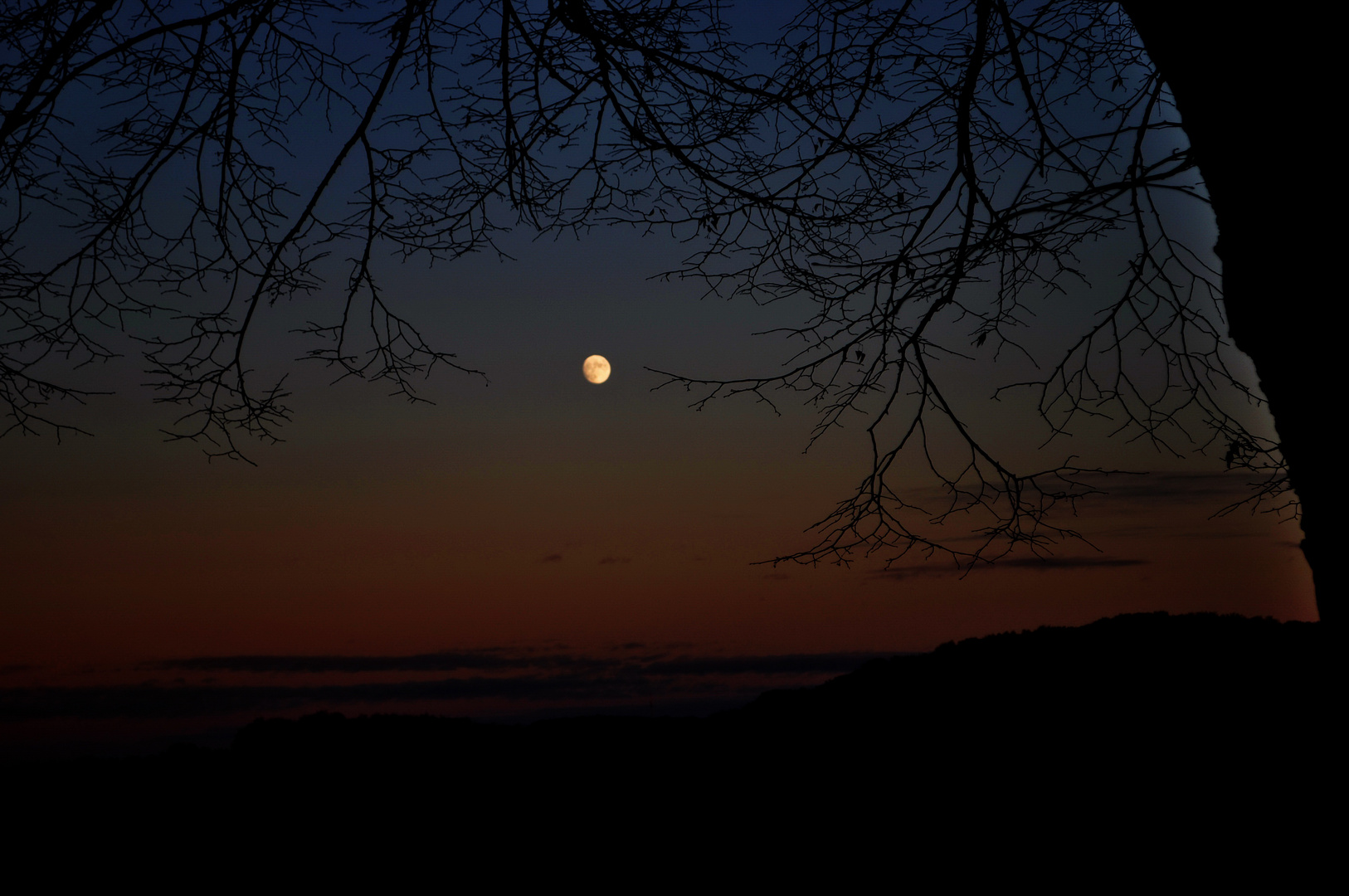 Mond zwischen Ästen IV