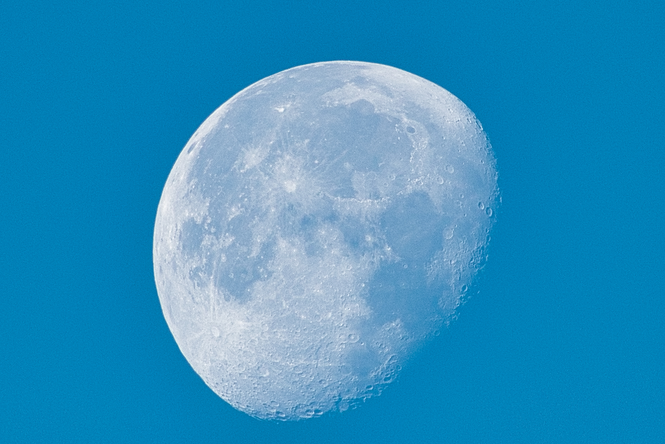 Mond022022