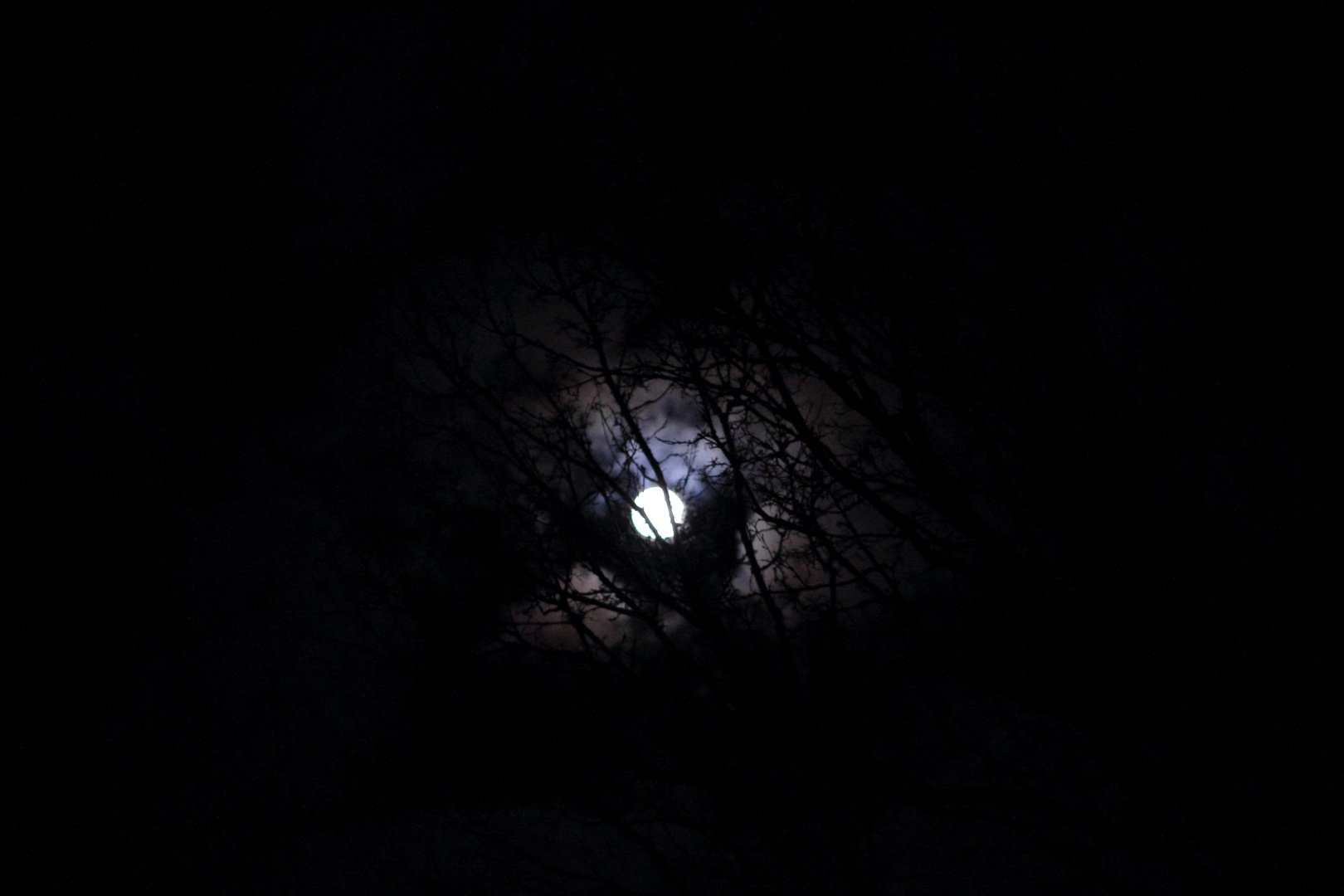 Mond_1