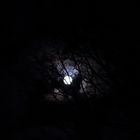 Mond_1