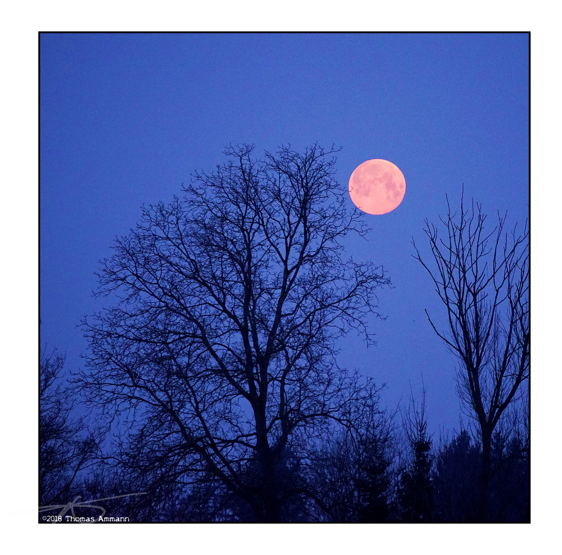 Mond_180302