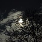 Mond_2