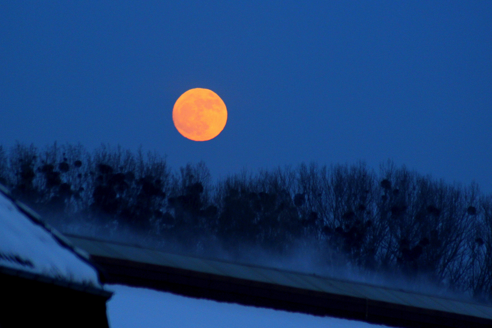 Mondaufgang am 26.01.2013 gegen 17:00 Uhr