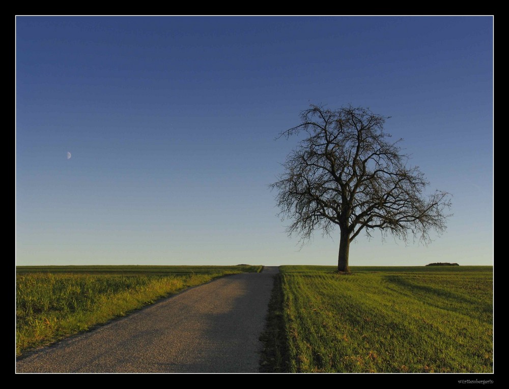 Mondaufgang am Abend