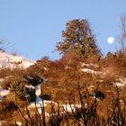 Mondaufgang am Dhaulagiri