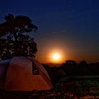 Mondaufgang am Simba Camp