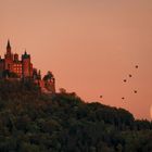 Mondaufgang hinter der Burg Hohenzollern