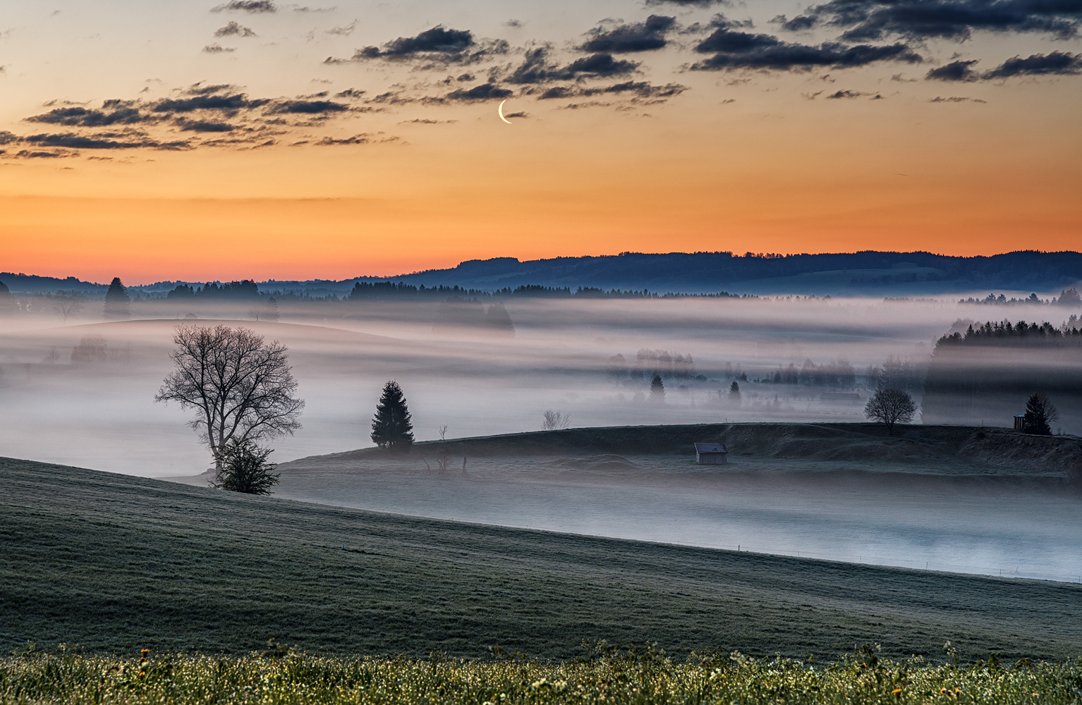 mondaufgang im morgenrot ....